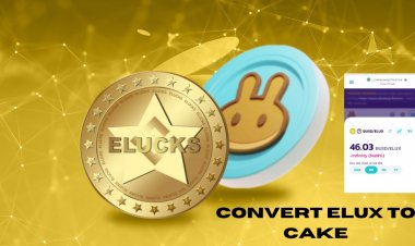 The Beginner’s Guide to ELUX