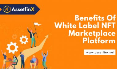 Benefits Of White Label NFT Marketplace Development
