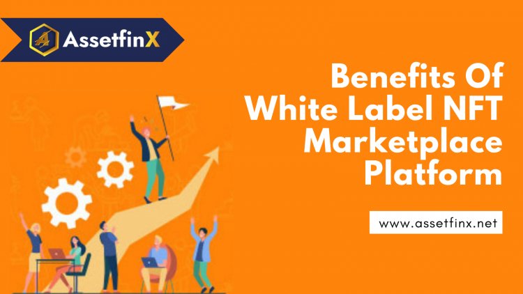 Benefits Of White Label NFT Marketplace Development