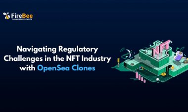 Navigating Regulatory Challenges in the NFT Industry with OpenSea Clones