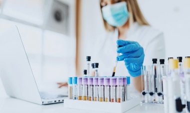 Exploring the Role of Blood Tests in Dubai's Health Assessment