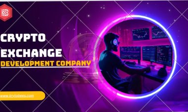 Steps to Creating Your Own Crypto Exchange in 2024