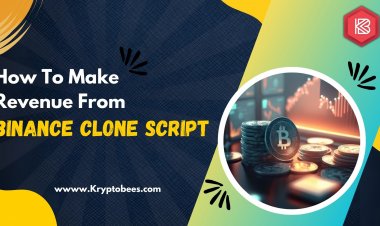 How To Make Revenue From Binance Clone Script?