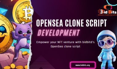 How to Overcome Business Obstacles with OpenSea Clone Scripts?