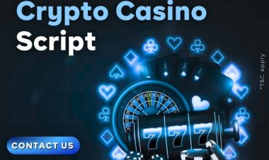 The Ultimate Guide to Choosing the Right Crypto Casino Script for Your Business