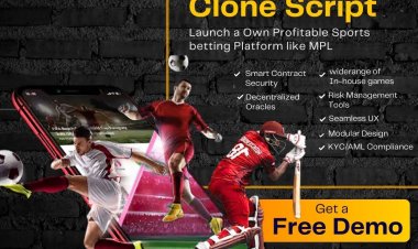 Innovate and Excel: A Guide to the MPL Clone Script for Fantasy Sports Entrepreneurs