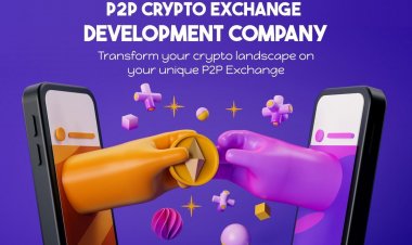 How to develop your  p2p crypto development company ?
