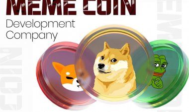 What are the risks involved in meme coin development?