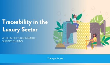 Blockchain Technology in The Luxury Sector