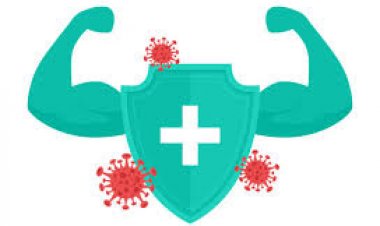 Stay Strong: Immune System Boosters You Need in Riyadh