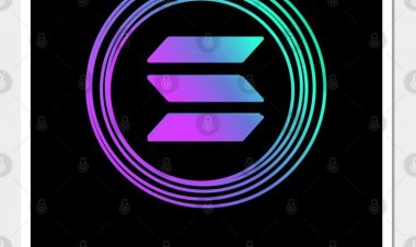 What feature makes Solana meme coins shines in the 2024 crypto market?