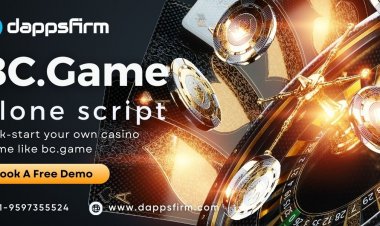 Maximize Your ROI with BC.Game Clone Script: Affordable Development and Quick Launch Solutions