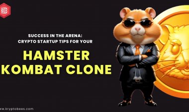 Success in the Arena: Crypto Startup Tips for Your Hamster Kombat Clone