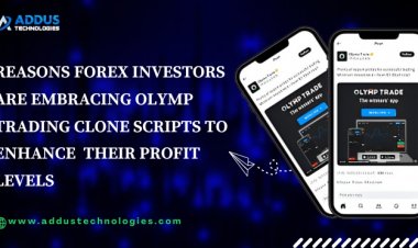 Reasons Forex Investors are Embracing Olymp Trading Clone Scripts to Enhance 	Their Profit Levels
