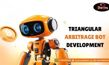 Investigating a Powerful Triangular Arbitrage Bot Across Multiple Exchanges