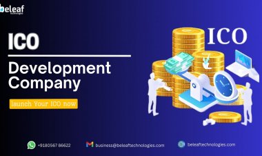 Complete Guide to Partnering with a Leading ICO Development Company