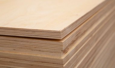 Plywood Market Analysis and Industry Forecast (2025-2034)