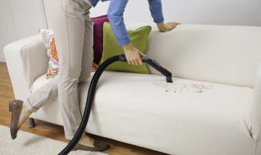 Comprehensive Guide to Sofa Cleaning Services