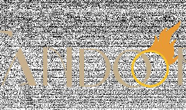 Best Indian Restaurants in Chicago: A Flavorful Journey