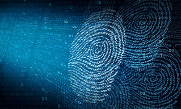 How Bclubs Foster Online Collaboration: A Comprehensive Guide