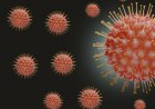 Understanding the HMPV Virus: A New Threat in China and Beyond