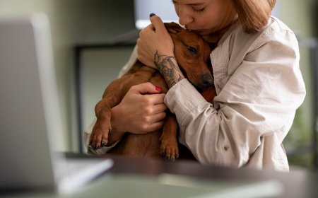 A Pet Owner's Guide to Fenbendazole Tablet