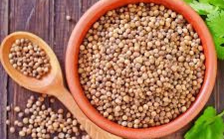 Are Coriander Seeds a Permanent Superfood for Health?