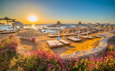 Top 10 Must-Visit Attractions in Aswan, Egypt