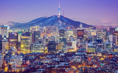 Shopping in South Korea: From Street Markets to Luxury Boutiques