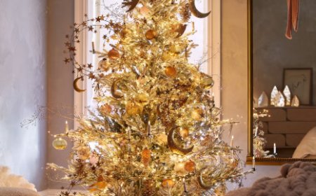 The Ultimate Guide to iPhone 15 Plus Cases: Protect Your Device in Style