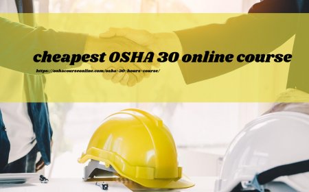 What is the cheapest OSHA 30 online course available?