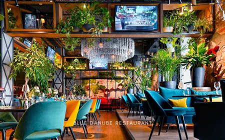 Savor Authentic European Flavors: Top Picks for Blue Danube Restaurant Food in Calgary