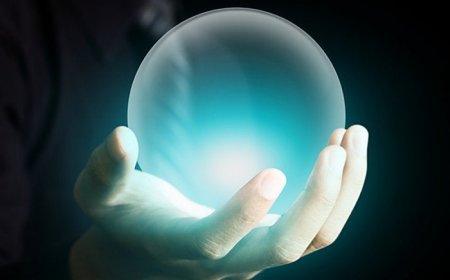 Decentralized Prediction Marketplace Development Customized Prediction Market