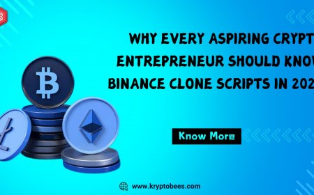Why Every Aspiring Crypto Entrepreneur Should Know Binance Clone Scripts in 2025