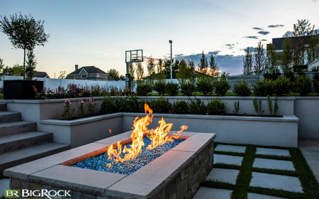 Napoleon 36 Gas Fireplace: Efficient Heating Solution for Comfort