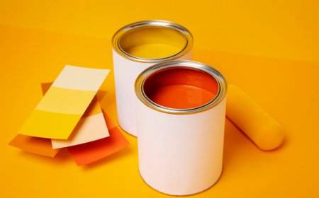 Stone Coloured Paint vs Stone Grey Paint: Which is the Best?