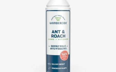 The Best Small Dog Toys and Flea and Tick Spray for Dogs: Keeping Your Pet Happy and Healthy