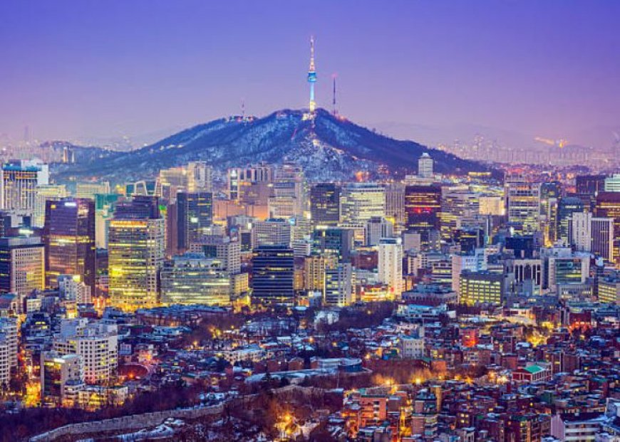 Shopping in South Korea: From Street Markets to Luxury Boutiques