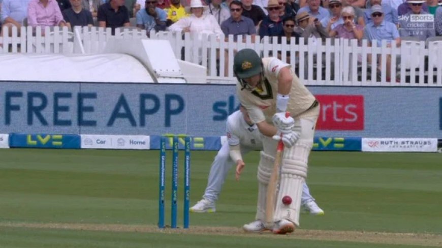 LBW in Cricket: Common Misunderstandings and How It Impacts the Game