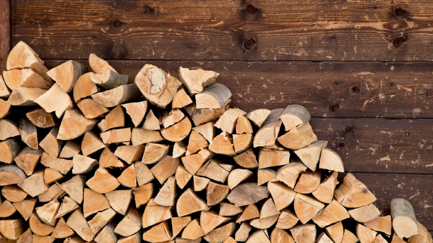 Why Seasoned Firewood Burns Better and Longer