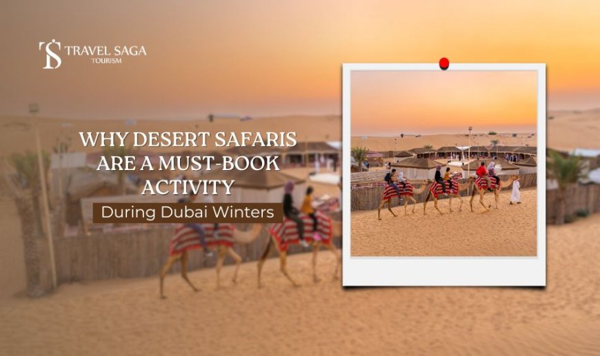 Why Desert Safaris Are a Must-Book Activity During Dubai Winters?