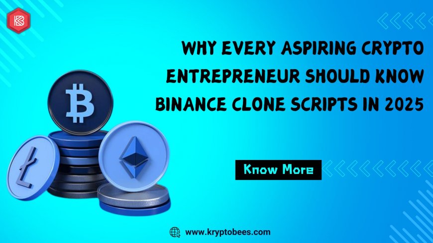 Why Every Aspiring Crypto Entrepreneur Should Know Binance Clone Scripts in 2025