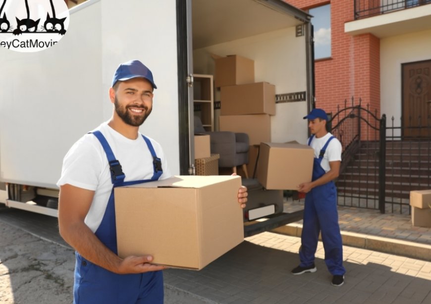Moving Day Made Easy: Best Packing Services in Colorado Springs