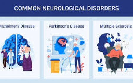 What Are the Most Common Neurological Disorders, and How Can They Be Managed Effectively?