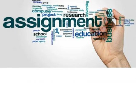 Expert Programming Assignment Help at Your Fingertips