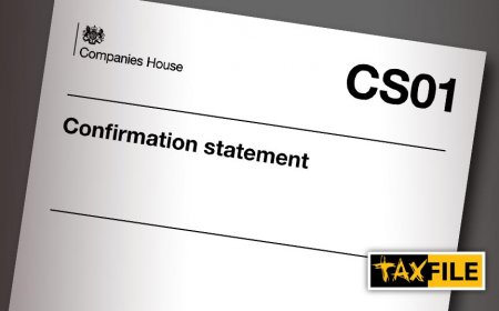 What Is a Confirmation Statement and Can You File It Without an Accountant?