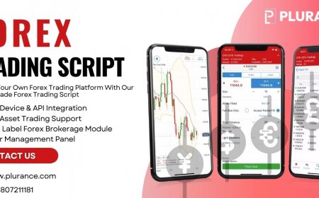 Set up your Forex trading platform quickly by utilizing Plurance’s fully developed Forex trading script