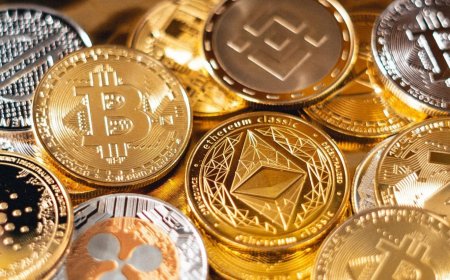 Hire Top Crypto Token Developers to Elevate Your Business