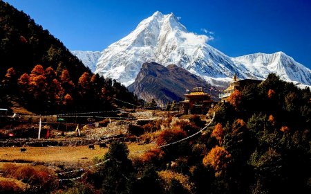 Manaslu Circuit Trek: The Ultimate Guide to Nepal’s Hidden Gem
