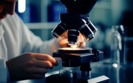 Could Regenerative Medicine Hold the Key to Combating Brain Degeneration in Alzheimer’s?